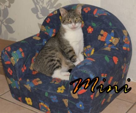 Vermittlungshilfe Mini