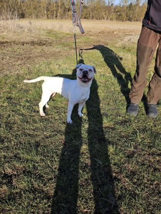 HILDE sucht ein für immer Zuhause!