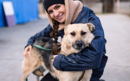 Zuhause gesucht für menschenbezogene Sheila