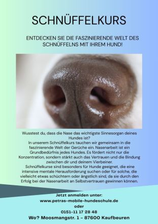 Petras mobile Hundeschule