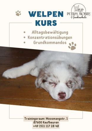 Petras mobile Hundeschule