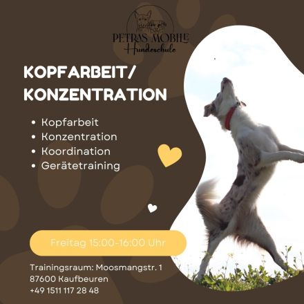Petras mobile Hundeschule