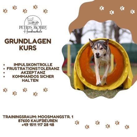 Petras mobile Hundeschule