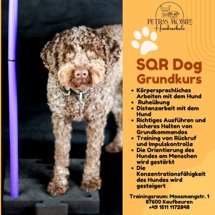 Petras mobile Hundeschule
