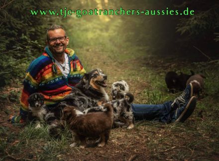 TJC Goatranchers Aussies