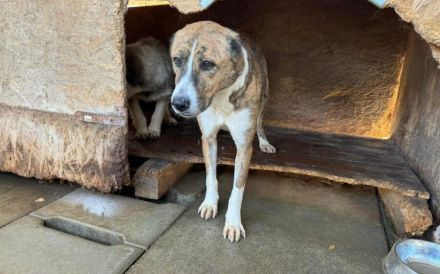 Vorsichtig hält Liana nach einem warmen Körbchen Ausschau...