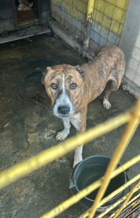 Vorsichtig hält Liana nach einem warmen Körbchen Ausschau...