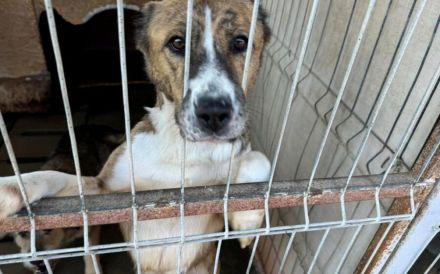 Vorsichtig hält Liana nach einem warmen Körbchen Ausschau...