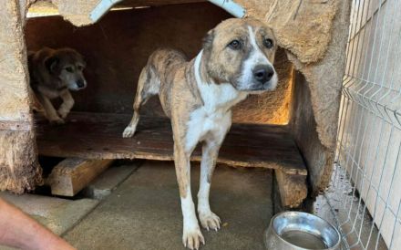 Vorsichtig hält Liana nach einem warmen Körbchen Ausschau...