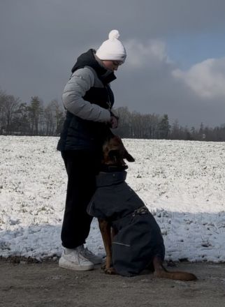 Hund in gute Hände abzugeben