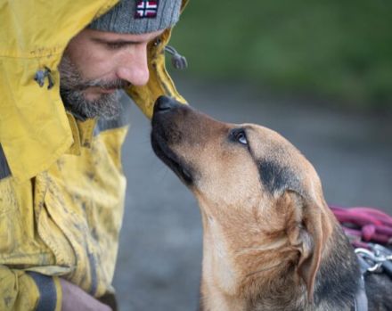 Bringst du Maroshs Augen wieder zum Leuchten?