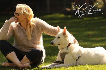 Therapiebegleithund- / Schulhundteam werden?