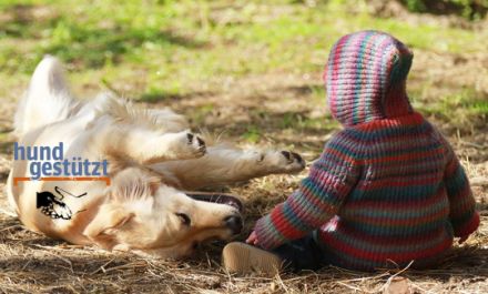 Therapiebegleithund- / Schulhundteam werden?