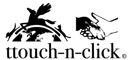 Hundetrainer oder Katzenverhaltensberater werden?