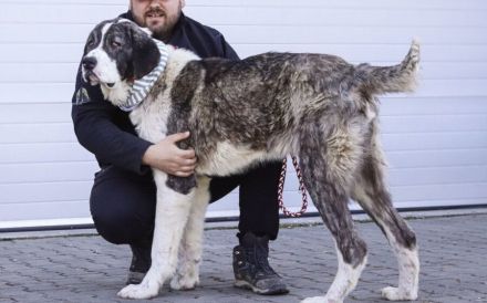 Happy End gesucht für Lucio