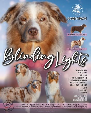 OCEANVIEW'S BLINDING LIGHTS DNA-CP ASCA