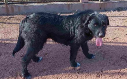 Mayu ! Black ist beautiful !