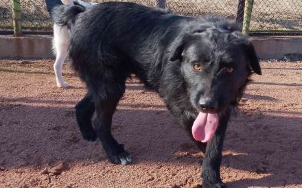 Mayu ! Black ist beautiful !