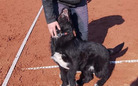 Mayu ! Black ist beautiful !