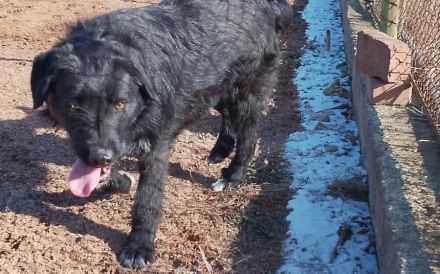 Mayu ! Black ist beautiful !