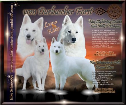 vom Durbuscher Forst