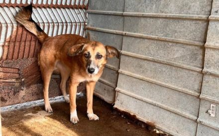 Wann dürfen Daisys Augen endlich strahlen?