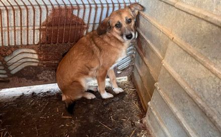 Wann dürfen Daisys Augen endlich strahlen?