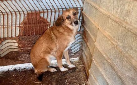 Wann dürfen Daisys Augen endlich strahlen?