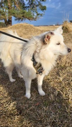 Willst du meine Familie sein?