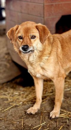 Eyla, ein älteres Mädchen, etwas schüchtern, sucht ihr Glück