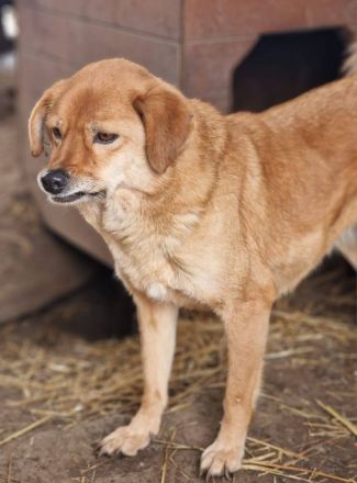 Eyla, ein älteres Mädchen, etwas schüchtern, sucht ihr Glück