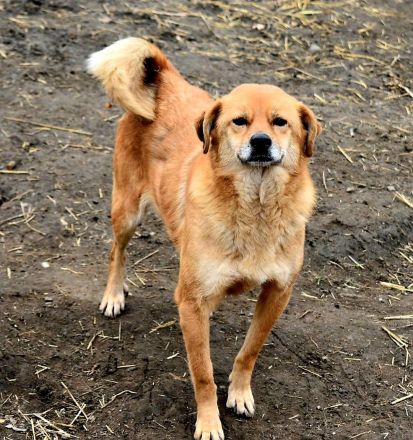 Eyla, ein älteres Mädchen, etwas schüchtern, sucht ihr Glück