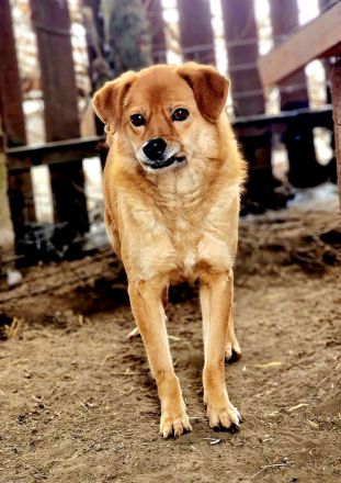 Eyla, ein älteres Mädchen, etwas schüchtern, sucht ihr Glück