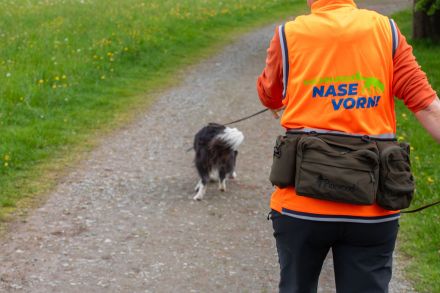 SUCHHUNDE NASE VORN! Mobile Hundeschule + Hundetraining vor Ort + HSK / FKB / KB