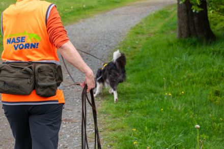 SUCHHUNDE NASE VORN! Mobile Hundeschule + Hundetraining vor Ort + HSK / FKB / KB