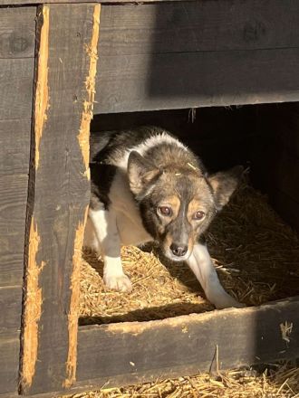 Julie, sehr ängstlich