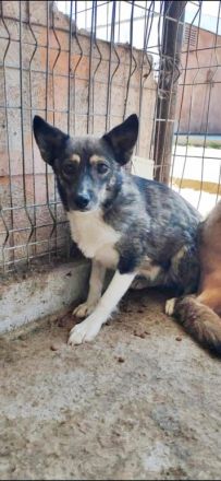 Julie, sehr ängstlich