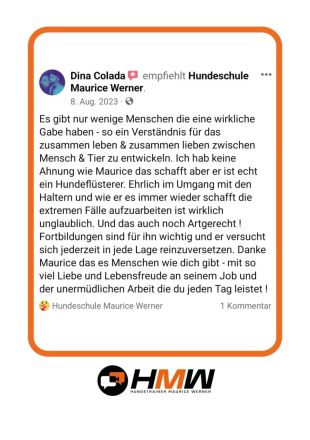 Professionelles Hundetraining – Persönlich oder auch via Videoanalyse