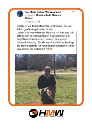 Professionelles Hundetraining – Persönlich oder auch via Videoanalyse