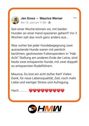 Professionelles Hundetraining – Persönlich oder auch via Videoanalyse