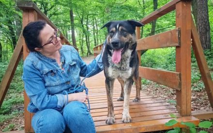 Schmusebär Pyros sucht seine Menschen