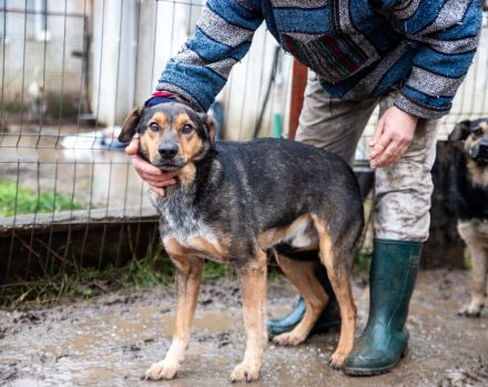 Socke sucht seine Familie