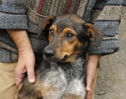 Socke sucht seine Familie