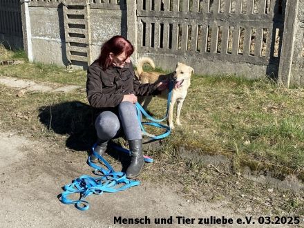 Lenny, freundlich und aufmerksam