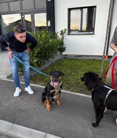 Nadir möchte zum treuen Begleiter heranwachsen