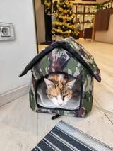 MARIGOLD ❤ SEHR EILIG! .