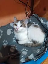 MAYA ❤️ DRINGEND!