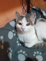 MAYA ❤️ DRINGEND!