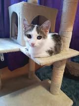 MAYA ❤️ DRINGEND!