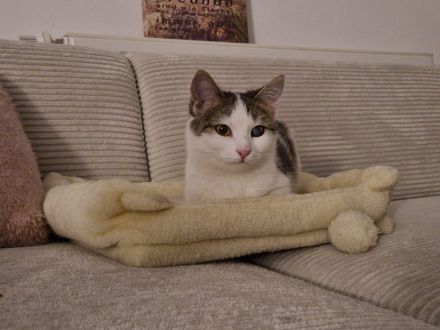 MAYA ❤️ DRINGEND!